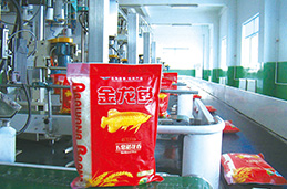 bevictorΰµÂ¹ÙÍø - ΤµÂ¹Ù·½ÍøÕ¾