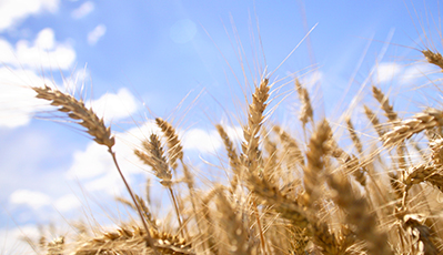 bevictorΰµÂ¹ÙÍø - ΤµÂ¹Ù·½ÍøÕ¾