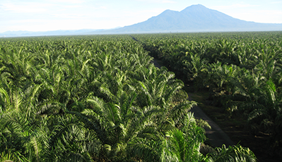 bevictorΰµÂ¹ÙÍø - ΤµÂ¹Ù·½ÍøÕ¾