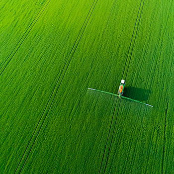 bevictorΰµÂ¹ÙÍø - ΤµÂ¹Ù·½ÍøÕ¾