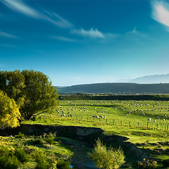 bevictorΰµÂ¹ÙÍø - ΤµÂ¹Ù·½ÍøÕ¾