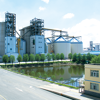 bevictorΰµÂ¹ÙÍø - ΤµÂ¹Ù·½ÍøÕ¾