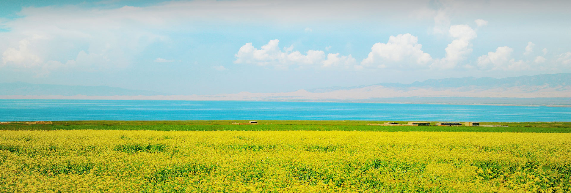 bevictorΰ¹ - Τ¹ٷվ