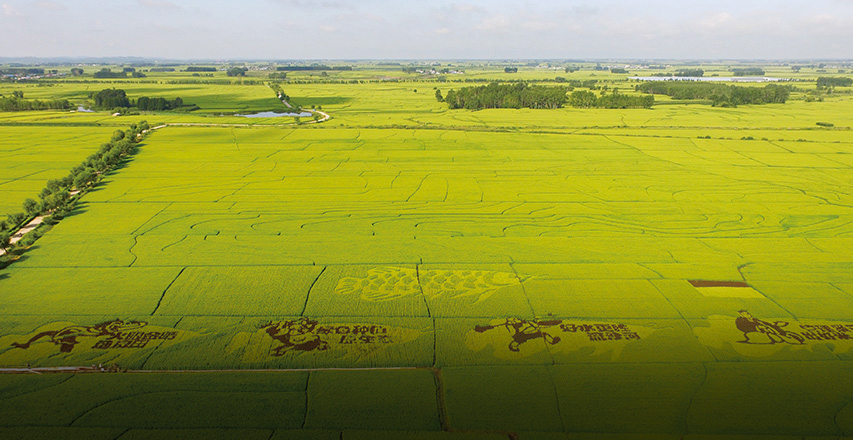 bevictorΰ¹ - Τ¹ٷվ