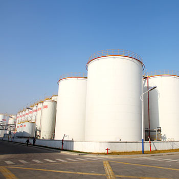 bevictorΰµÂ¹ÙÍø - ΤµÂ¹Ù·½ÍøÕ¾