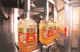 bevictorΰµÂ¹ÙÍø - ΤµÂ¹Ù·½ÍøÕ¾