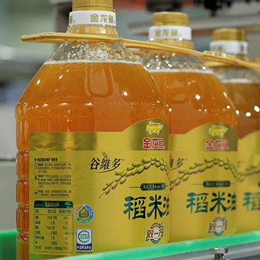 bevictorΰµÂ¹ÙÍø - ΤµÂ¹Ù·½ÍøÕ¾