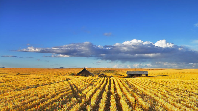 bevictorΰµÂ¹ÙÍø - ΤµÂ¹Ù·½ÍøÕ¾