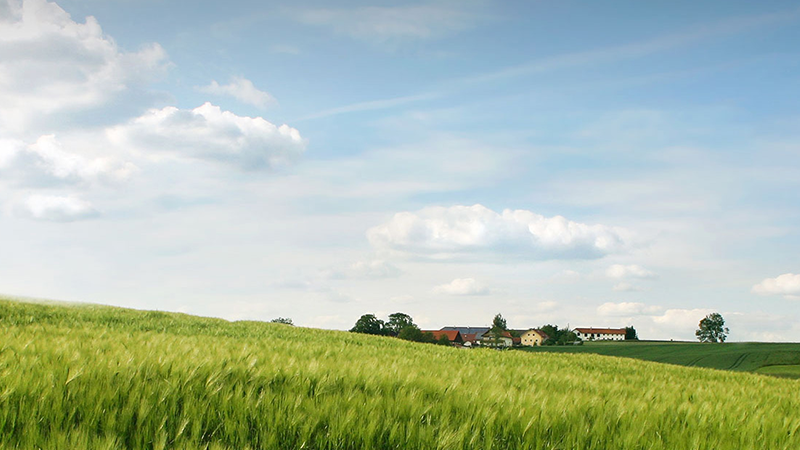 bevictorΰµÂ¹ÙÍø - ΤµÂ¹Ù·½ÍøÕ¾