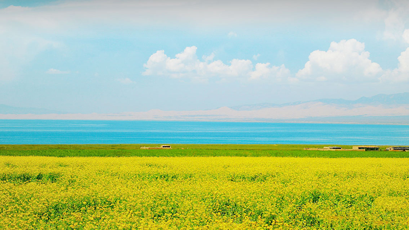 bevictorΰ¹ - Τ¹ٷվ