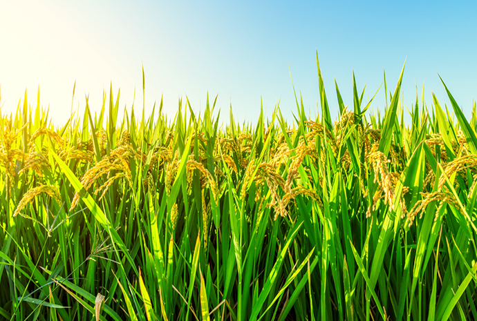 bevictorΰµÂ¹ÙÍø - ΤµÂ¹Ù·½ÍøÕ¾