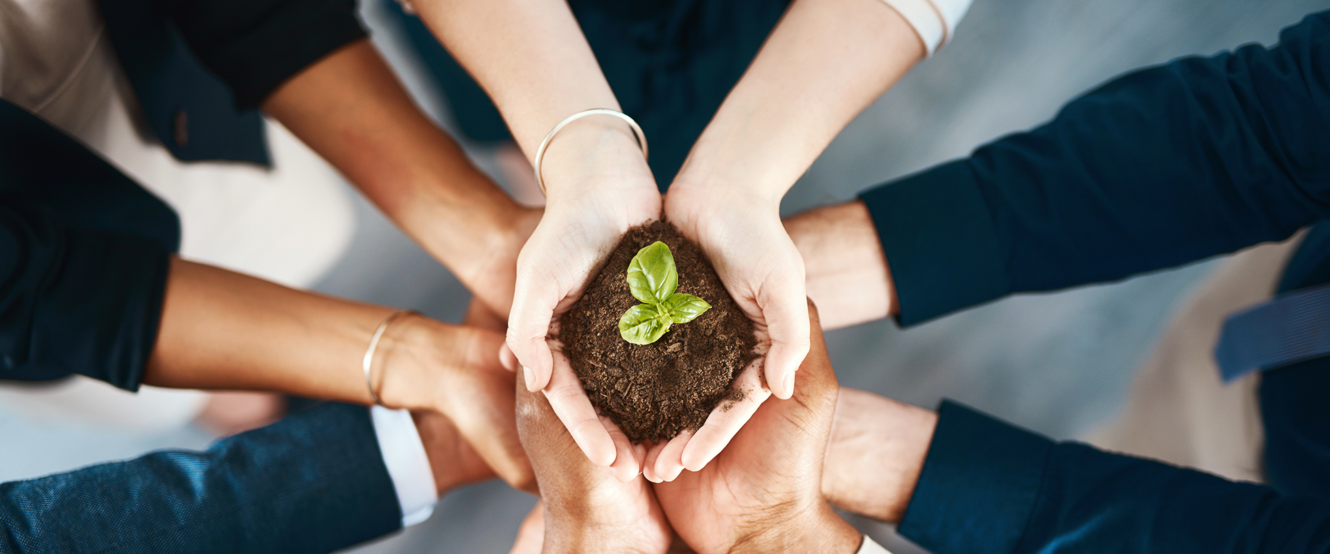 bevictorΰµÂ¹ÙÍø - ΤµÂ¹Ù·½ÍøÕ¾