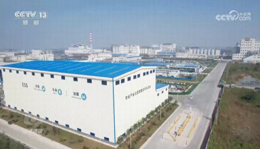 bevictorΰµÂ¹ÙÍø - ΤµÂ¹Ù·½ÍøÕ¾