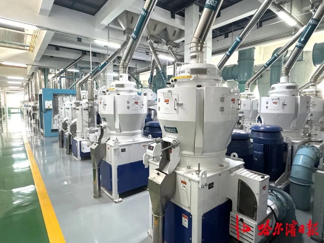 bevictorΰµÂ¹ÙÍø - ΤµÂ¹Ù·½ÍøÕ¾