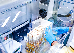 bevictorΰ�¹��� - Τ�¹ٷ���վ